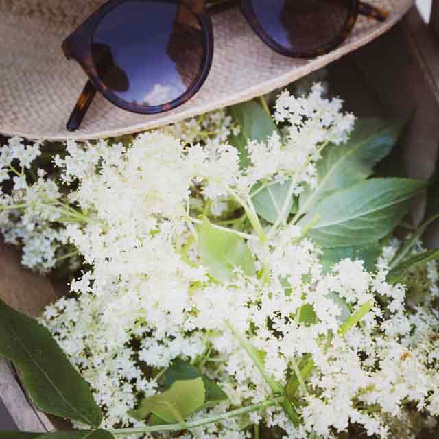 Elderflower