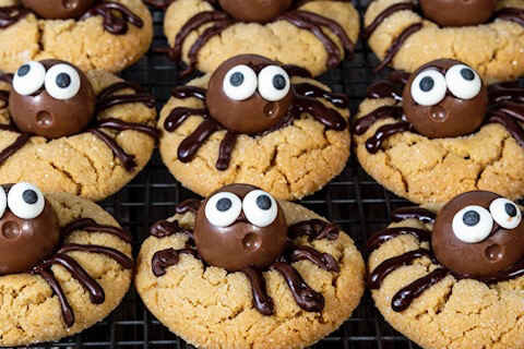 Spider Cookies